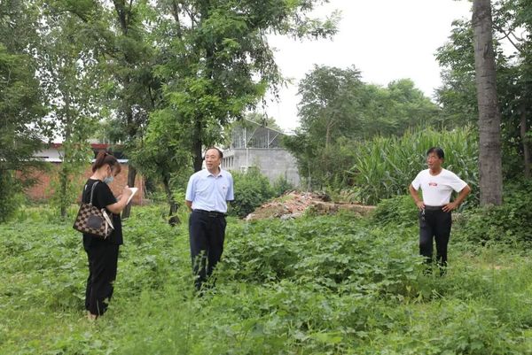 1XBET官网到结对帮扶村实地调研帮建项目
